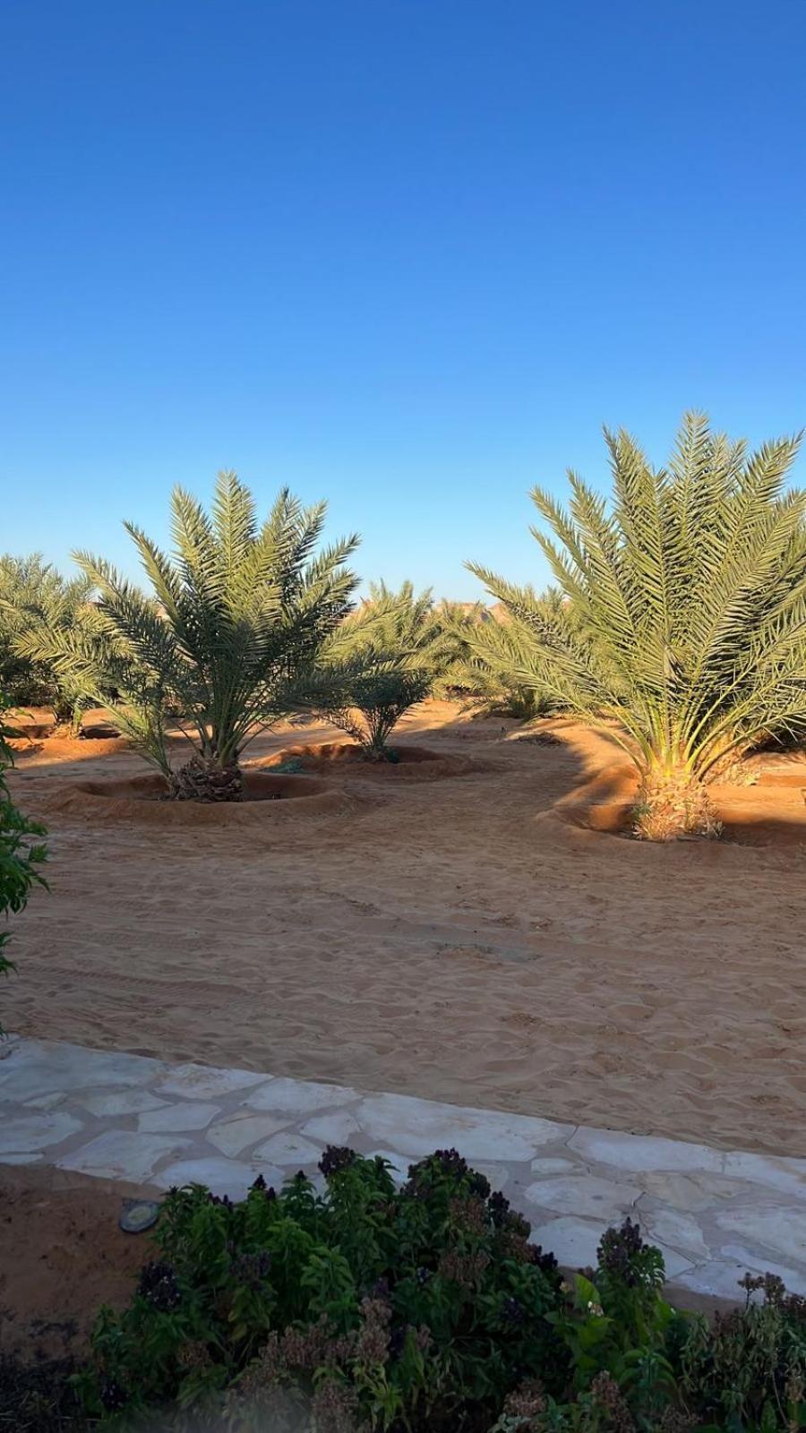 Apartmán منتجع إستكنان The Quite 2 Al Ula Exteriér fotografie